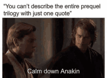 you can 't describe the entire prequel trilogy with just one quote , calm down anakin .