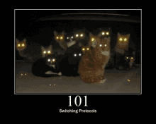 a group of cats with glowing eyes and the number 101 on the bottom