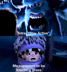 a picture of a monster from monsters inc with the caption tetra " stay active " and me supposed to be touching grass