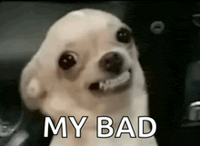 a small dog with its mouth open and the words " my bad " written on it