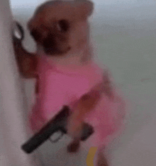 a small dog in a pink dress is holding a gun in its paw .