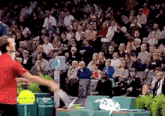 a man in a red shirt is playing tennis in front of a crowd with a yellow head tennis ball on the court