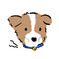 a brown and white dog with a blue collar on