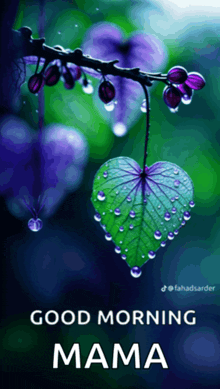 a picture of a heart shaped leaf with water drops on it and the words good morning mama