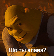 shrek from the movie shrek is smiling and has the words " шо ты алава " below him