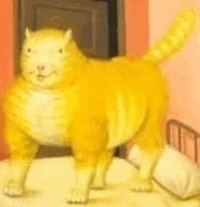 a yellow cat is standing on a bed next to a bed .