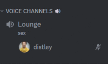 a screenshot of a voice channel that says lounge sex and distley