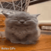a gray cat is sitting on a wooden table with its eyes closed .