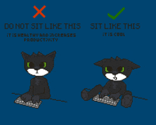 a pixel art of a black cat sitting on a keyboard with the words do not sit like this it is healthy and increases productivity