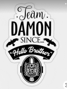 a sticker that says ' team damon since hello brother '