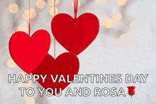 a happy valentines day to you and rosa greeting card