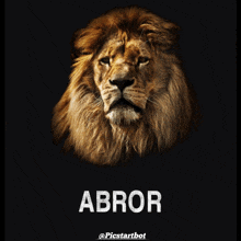 a picture of a lion with the word abror written on it