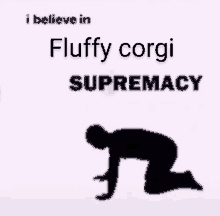 a picture of a person kneeling down with the words `` i believe in fluffy corgi supremacy ''