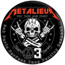 a metallica logo with a skull and crossbones on it