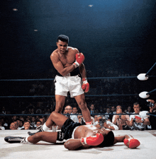 a man in boxing gloves is standing over a man laying on the floor