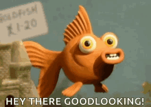 a cartoon fish with big eyes is standing next to a sign that says goldfish xj-20