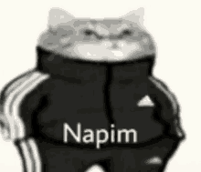 a black and white photo of a cat wearing a jacket and pants with the word napim on it .