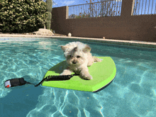 a small white dog laying on a green boogie board in a pool