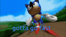 a cartoon of sonic the hedgehog with the words gotta go fast above him