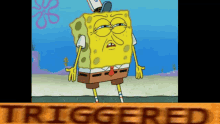 a cartoon of spongebob with the word triggered in the bottom right corner