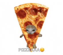 a slice of pepperoni pizza with a cat on it and the words pizzzaaa on the bottom