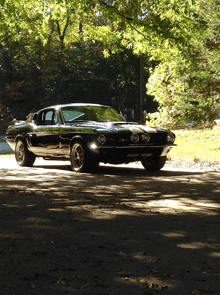 a black ford mustang is parked in a driveway surrounded by trees