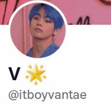 a picture of a man with blue hair and the name itboyvantae on the bottom