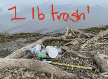 a pile of trash on a beach with the words 1 lb trash written in red