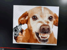 a picture of a dog holding a gun with the time of 13:57 on the bottom