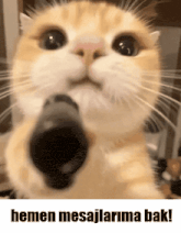 a close up of a cat pointing a gun with the words hemen mesajlarima bak written below it