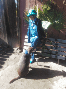 a woman sitting on a wooden bench with a dog