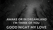 awake or in dreamland , i 'm think of you good night my love