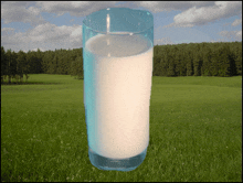 a glass of milk is sitting in a grassy field