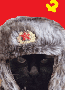 a black cat wearing a fur hat with a red star on top