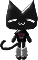 a black cat wearing a black shirt and white socks .