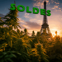 the eiffel tower is behind a field of marijuana with soldes written in green