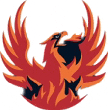 a red and orange phoenix with black wings is sitting in a circle on a white background .