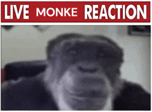 a picture of a chimpanzee with the words live monke reaction