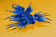 a close up of a blue dragon on a yellow background