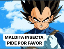 a cartoon character with the words maldita insecta pide por favor written below him