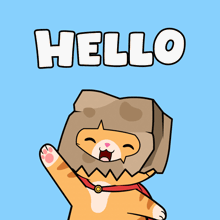 a cartoon cat wearing a bag on its head with the word hello above it