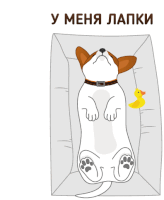 an illustration of a dog laying on its back with a yellow rubber duck next to it and the words " у меня лапки " above it