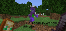 a screenshot of a video game with the words " he is a sad 15 year old rip pdog " on the bottom