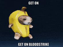 a cat in a banana costume with the words get on bloodstrike above it