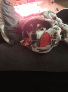 a dog is wrapped in a blanket that says ' i love you '