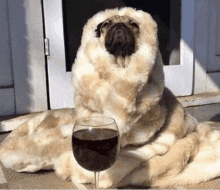 a pug dog sitting next to a wine glass