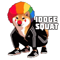 a dog wearing a clown wig is squatting with the words " idoge squat " above him