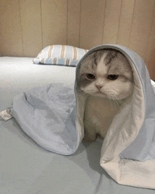 a cat is wrapped in a blue and white blanket on a bed