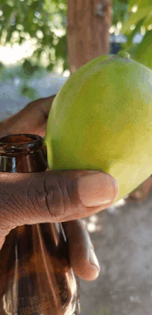 a person is holding a green fruit in their hand with a brown bottle in the background