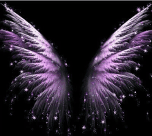 a pair of purple angel wings on a black background .